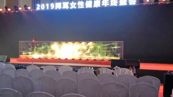 全息廣告機應用案例