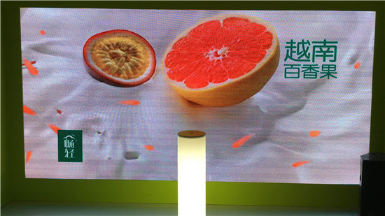 180度全息投影案例展示_現(xiàn)場圖